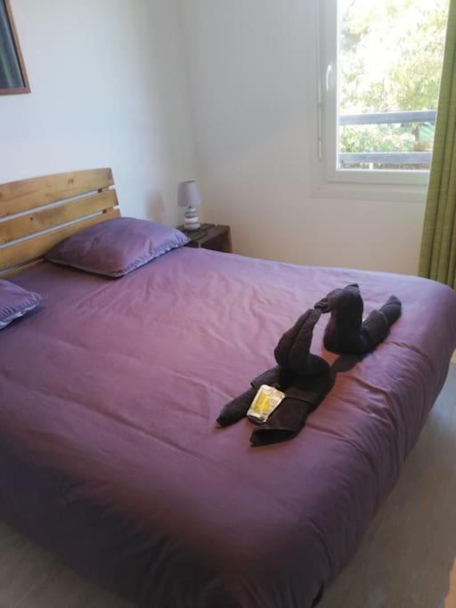 Apartment Le Nid *